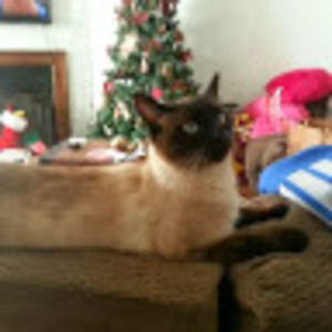 Meet your Posher, Judy